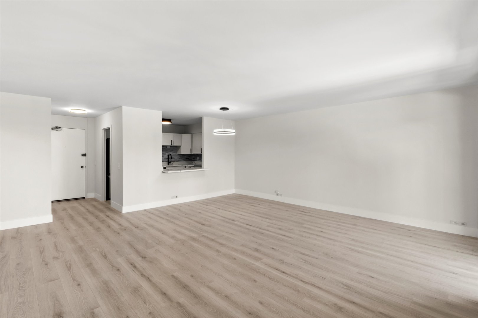 1560 N Sandburg Terrace Unit: 1508J