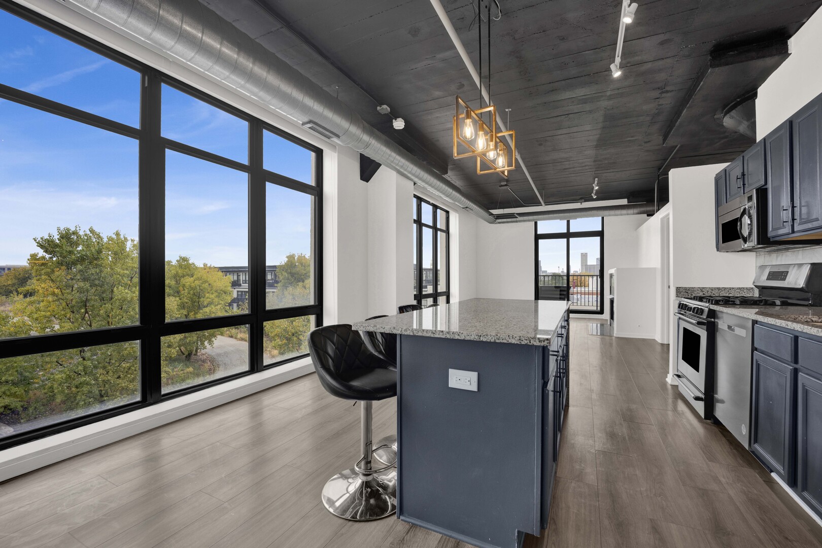 1524 S Sangamon Street Unit: 401