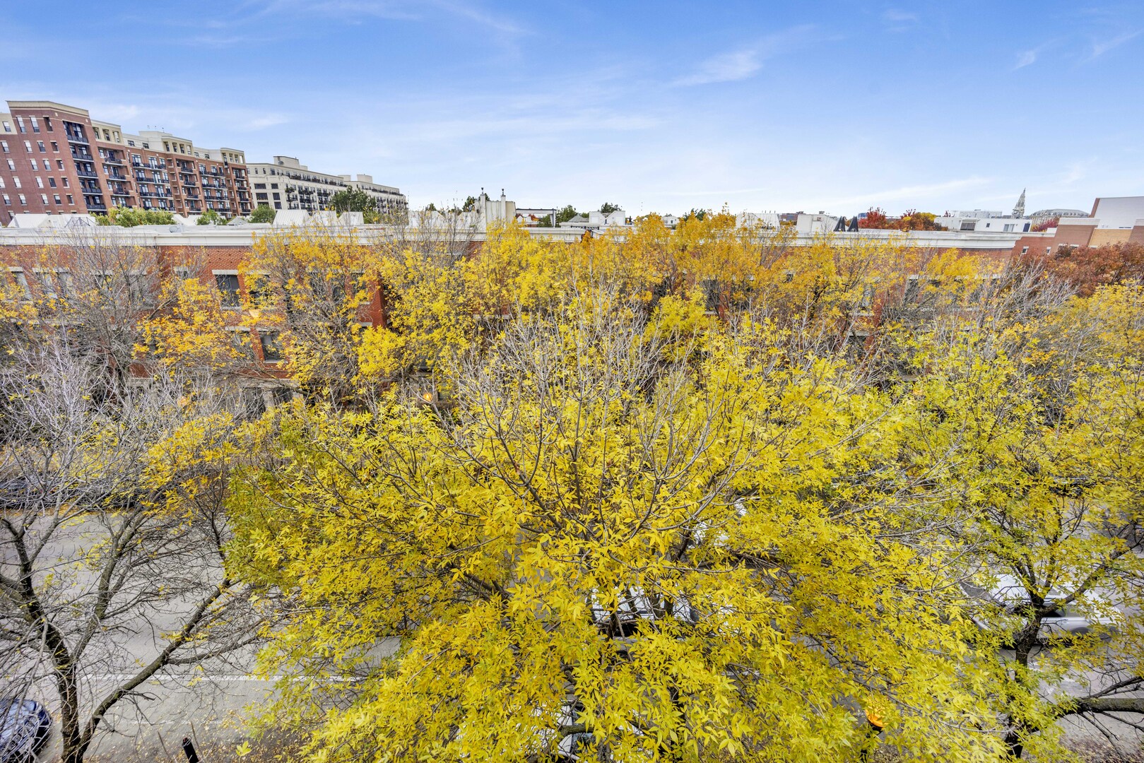1524 S Sangamon Street Unit: 401