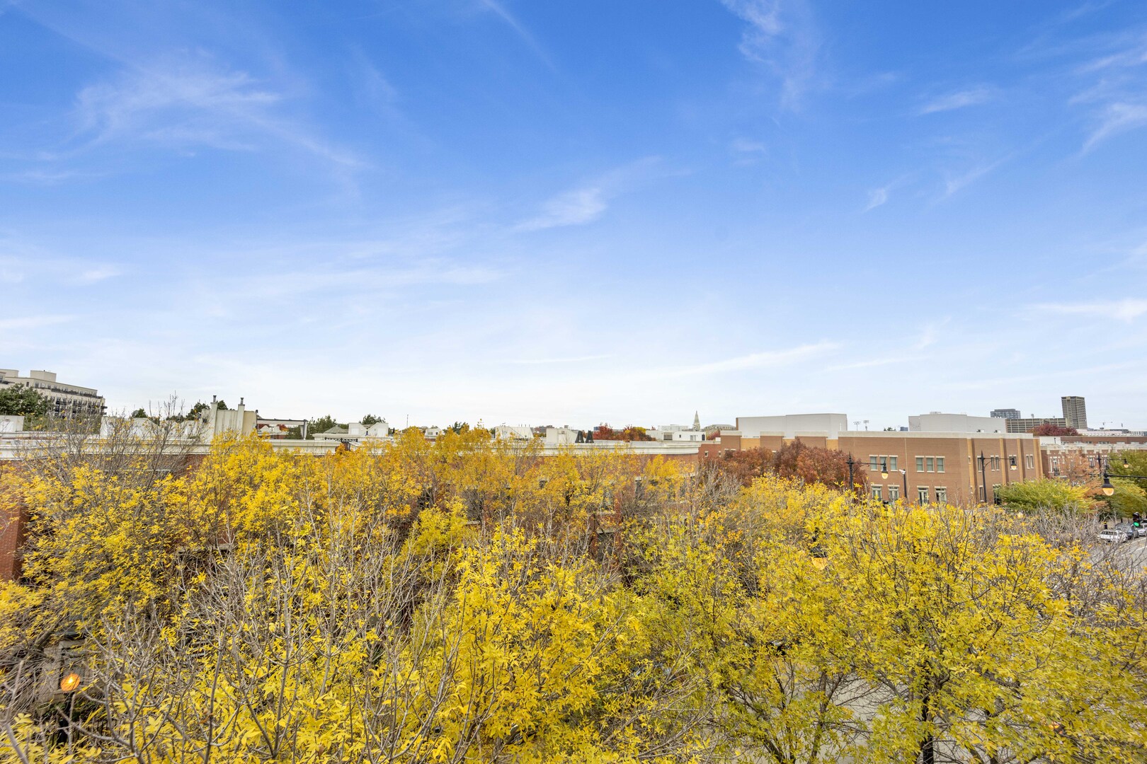 1524 S Sangamon Street Unit: 401