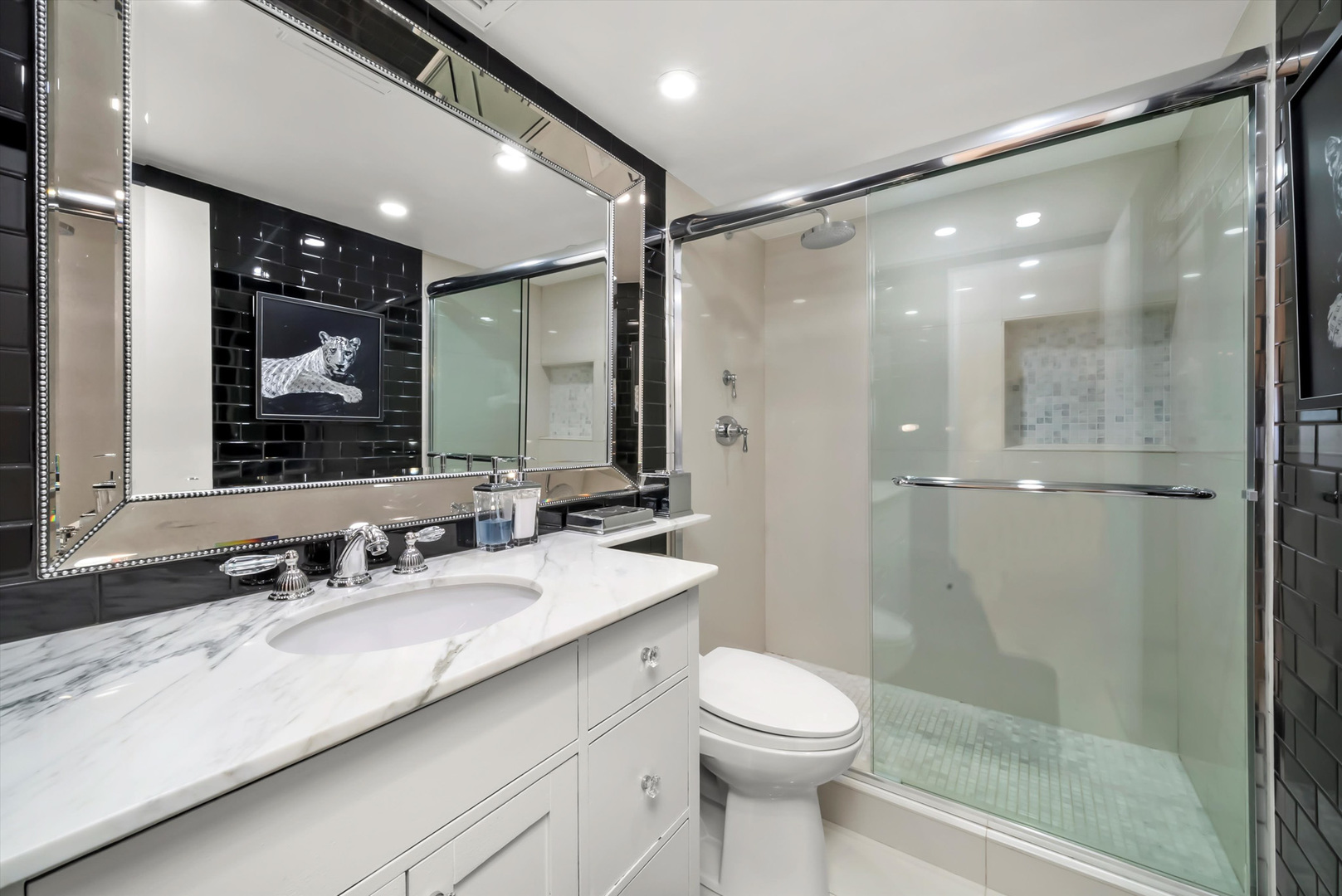 175 E Delaware Place Unit: 7107