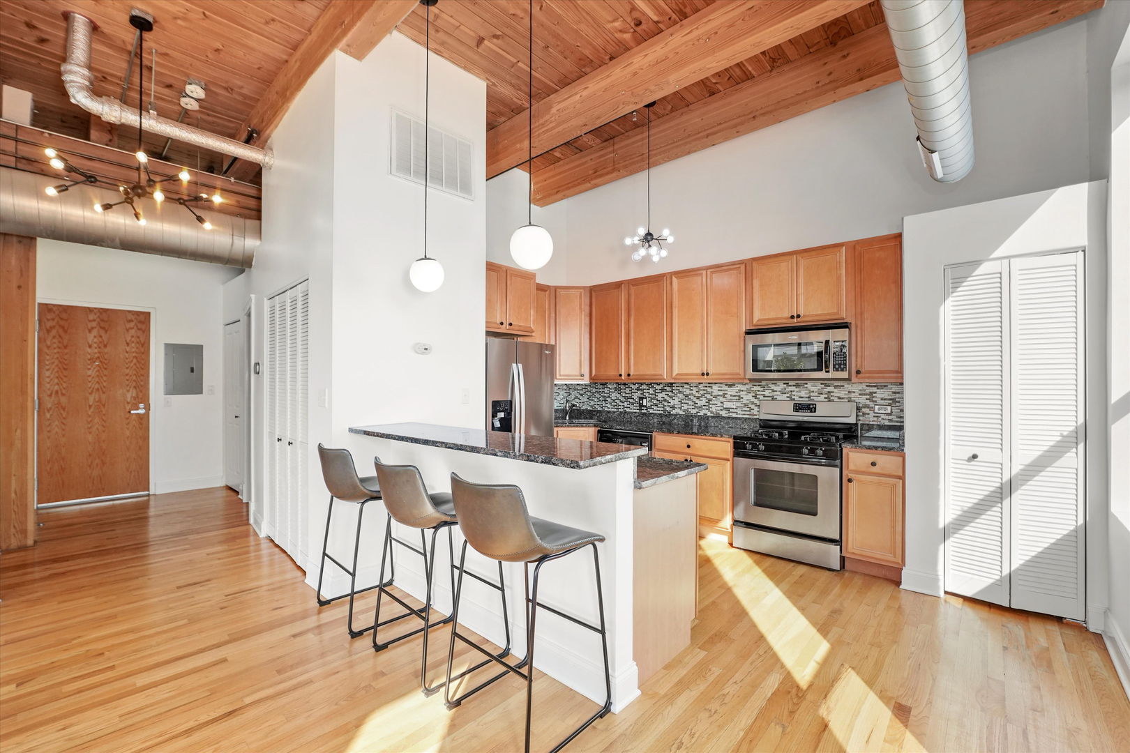 1610 S Halsted Street Unit: 504
