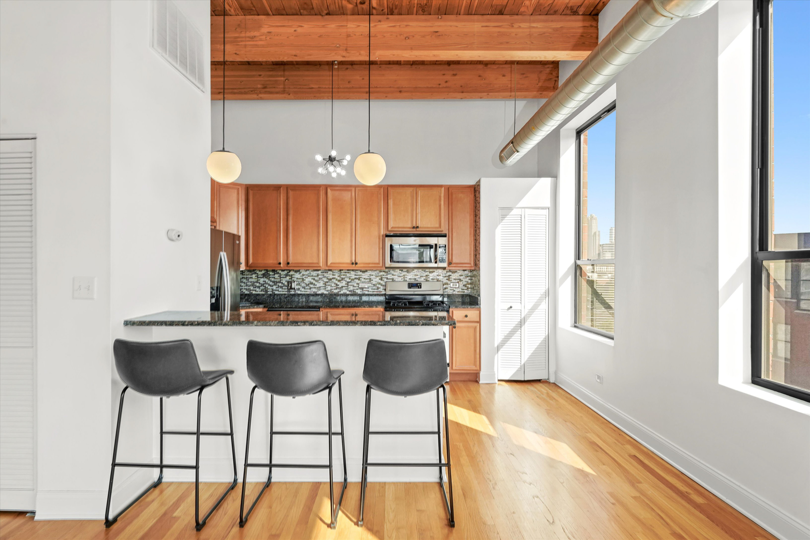 1610 S Halsted Street Unit: 504