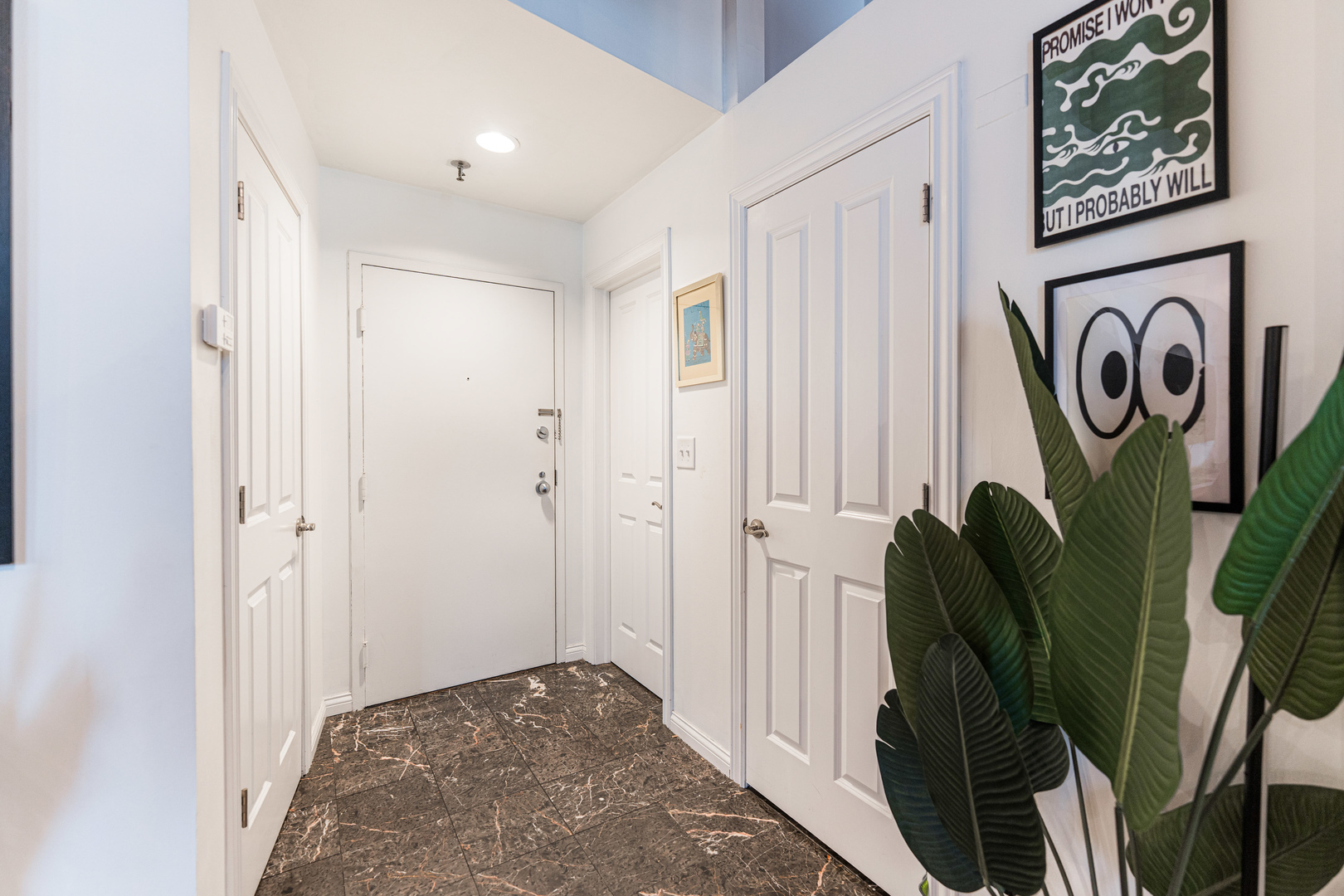 900 S Wabash Avenue Unit: 505