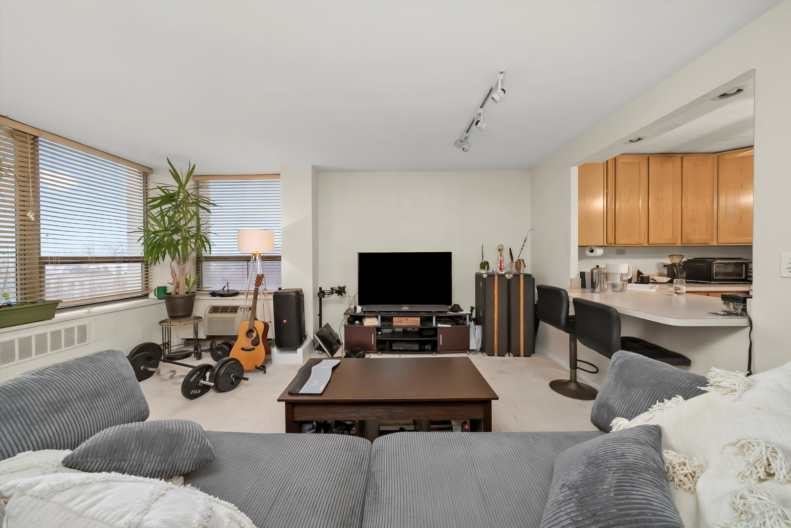 1460 N SANDBURG Terrace Unit: 705