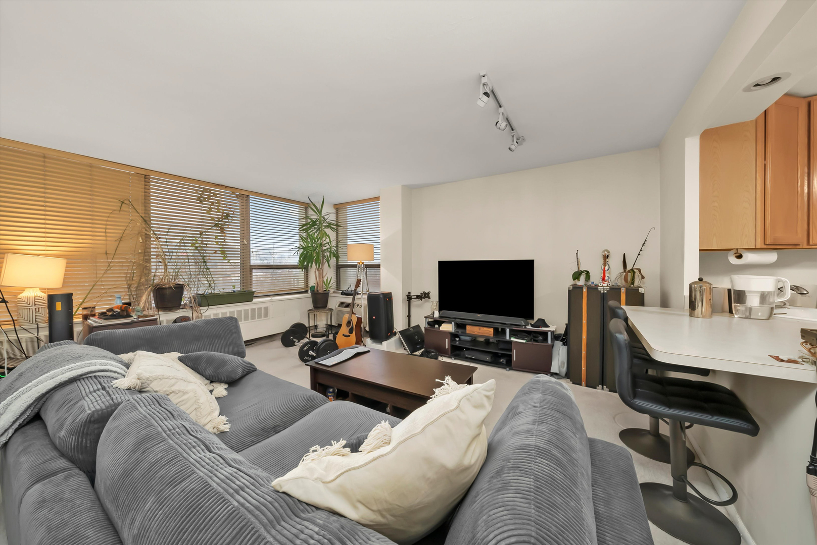 1460 N SANDBURG Terrace Unit: 705