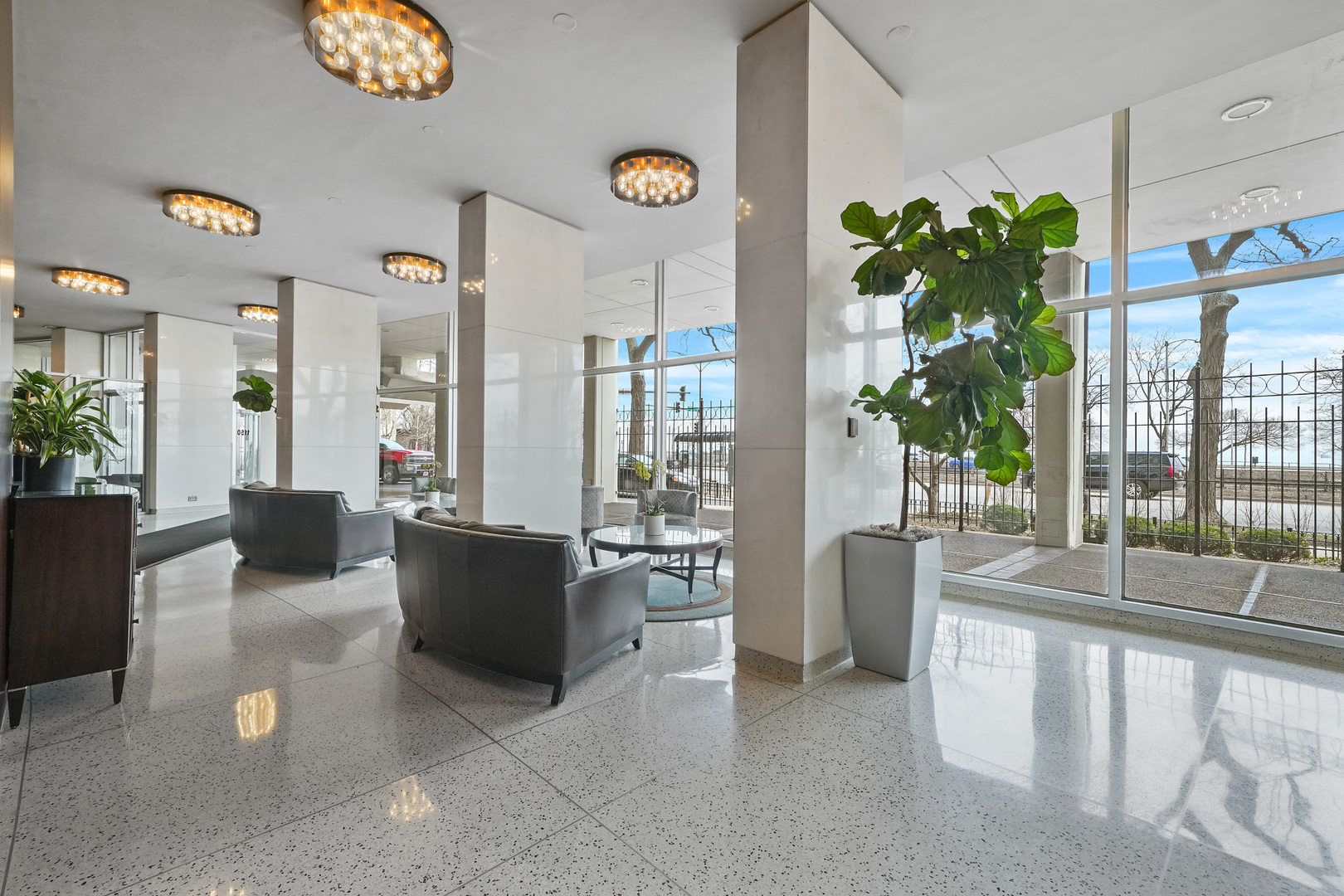 1150 N Lake Shore Drive Unit: 11D