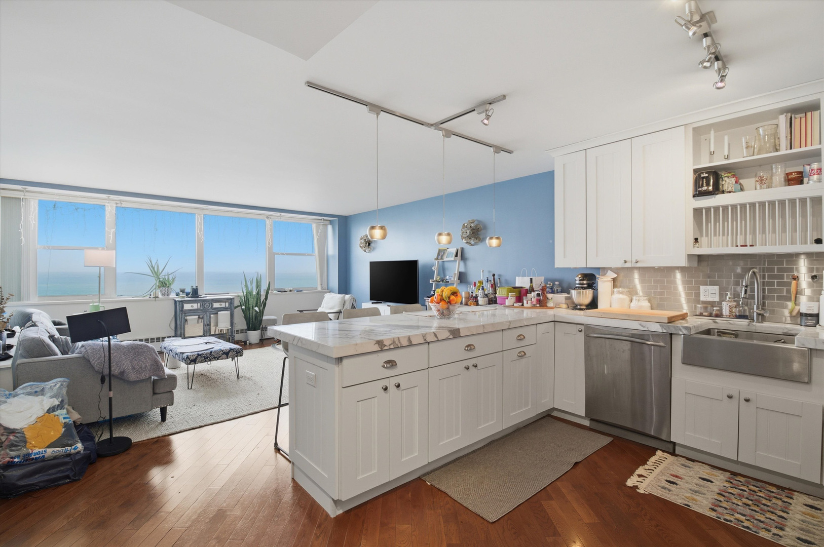 1150 N Lake Shore Drive Unit: 11D