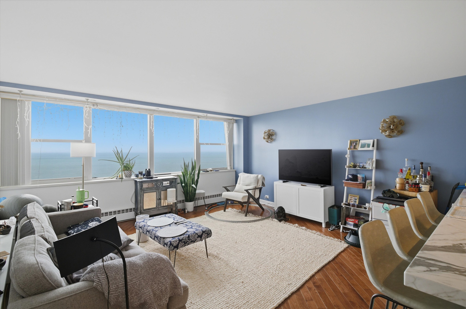 1150 N Lake Shore Drive Unit: 11D