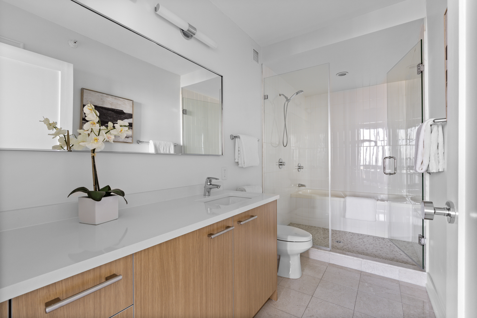 225 N Columbus Drive Unit: 6204
