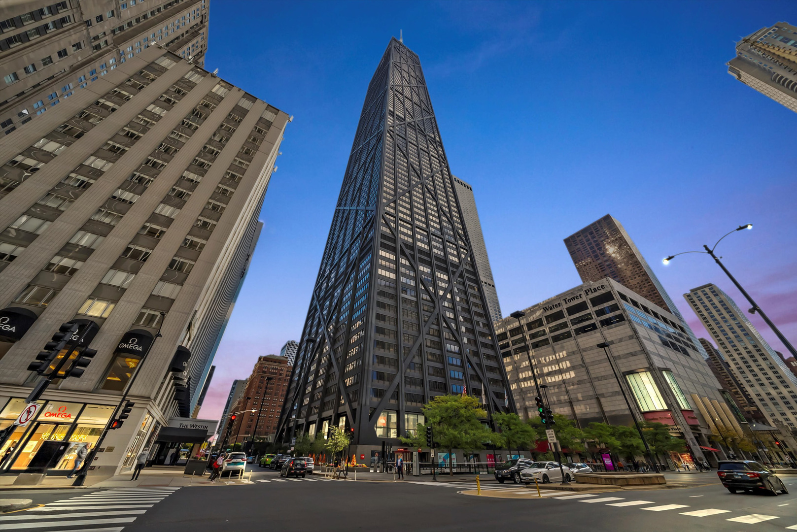 175 E Delaware Place Unit: 7107