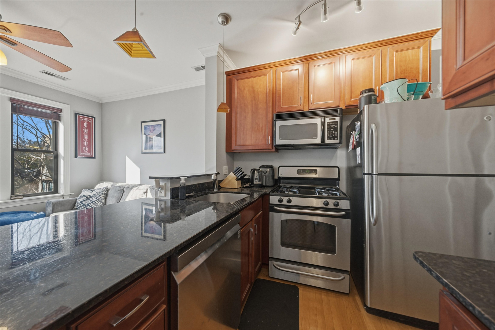 558 W Deming Place Unit: 2