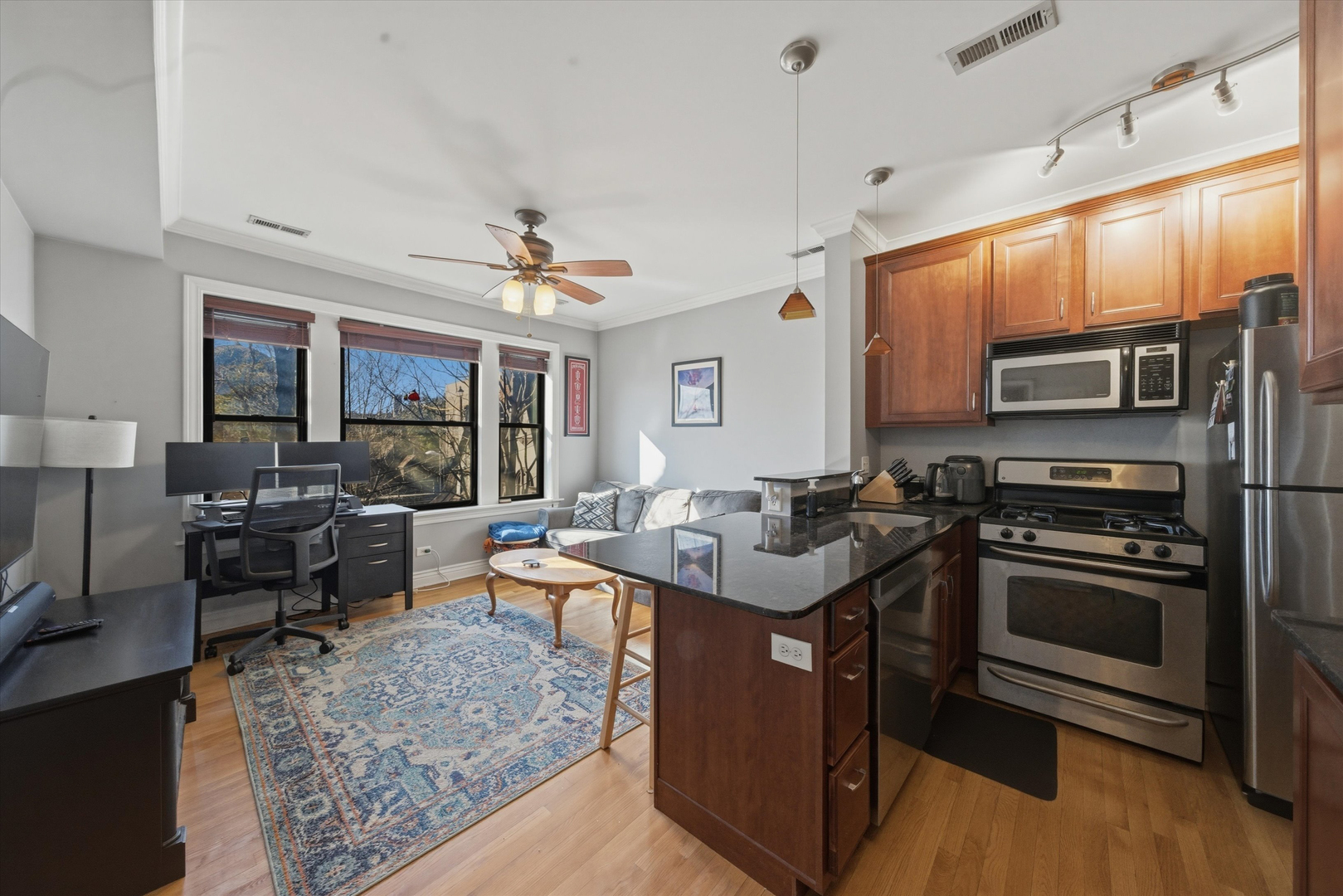 558 W Deming Place Unit: 2