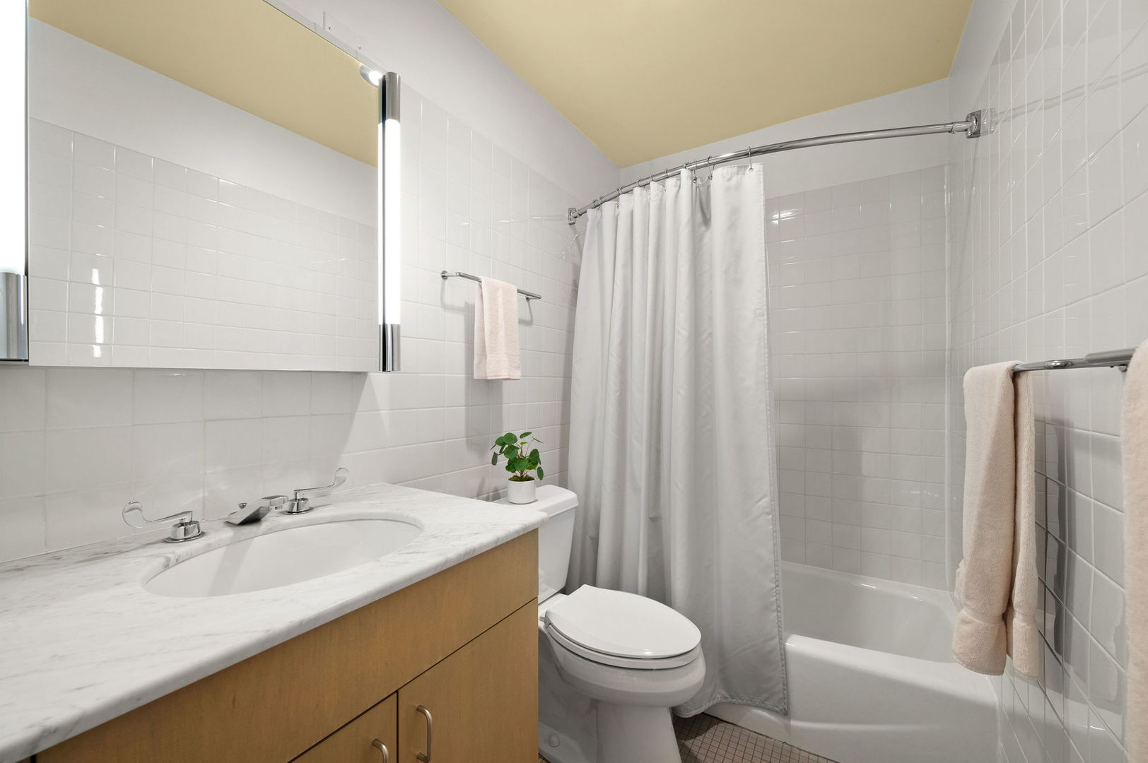 260 E Chestnut Street Unit: 4003