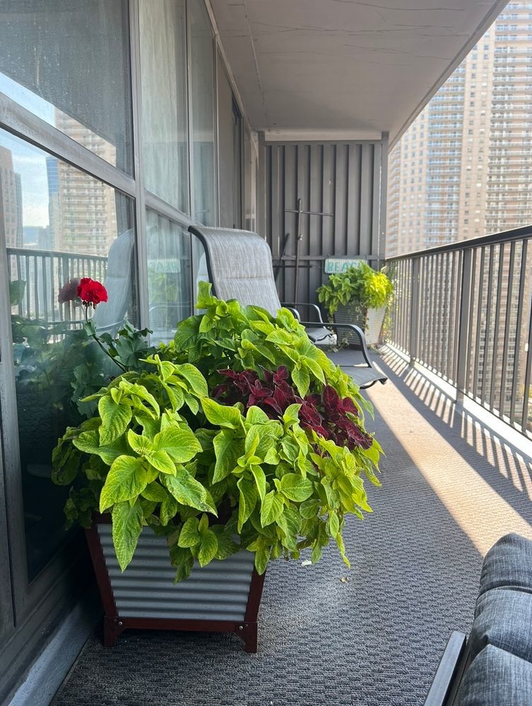 10 E ONTARIO Street Unit: 2507