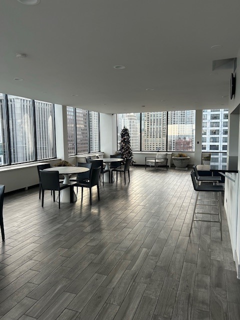 222 E Pearson Street Unit: 1205