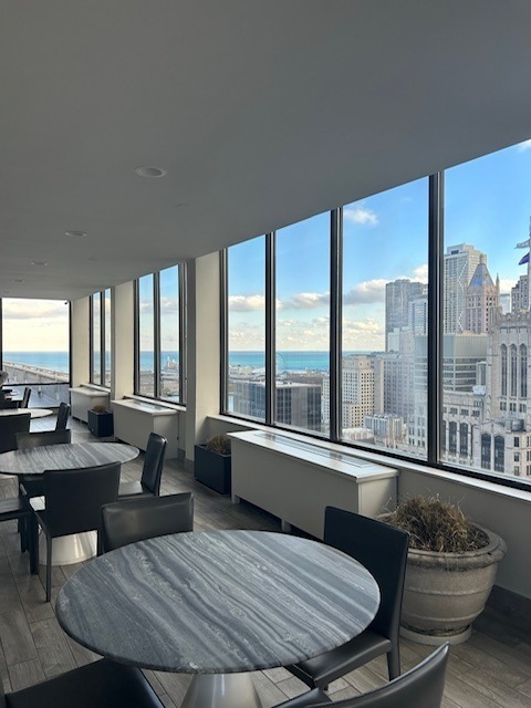 222 E Pearson Street Unit: 1205