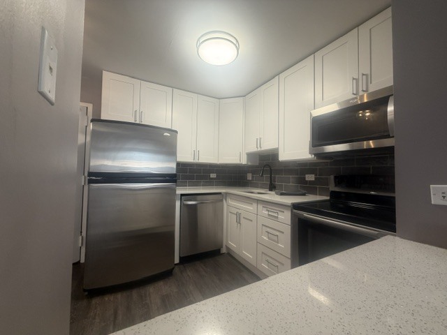 222 E Pearson Street Unit: 1205