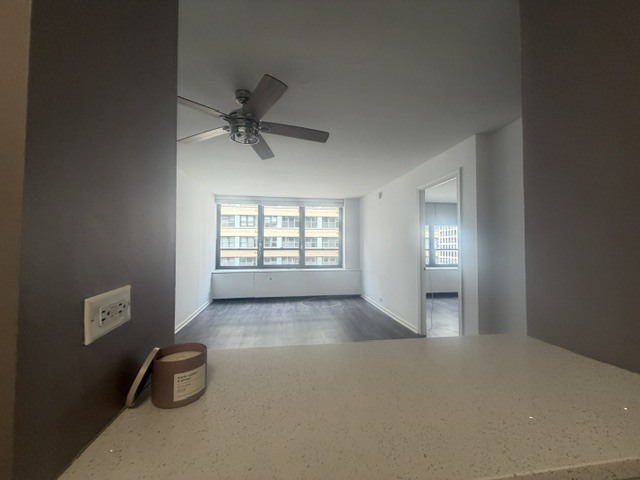 222 E Pearson Street Unit: 1205