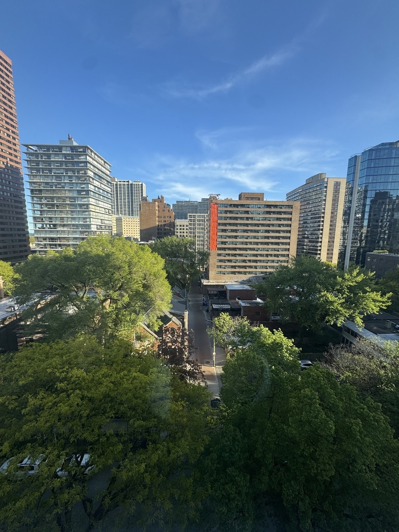 336 W Wellington Avenue Unit: 1001