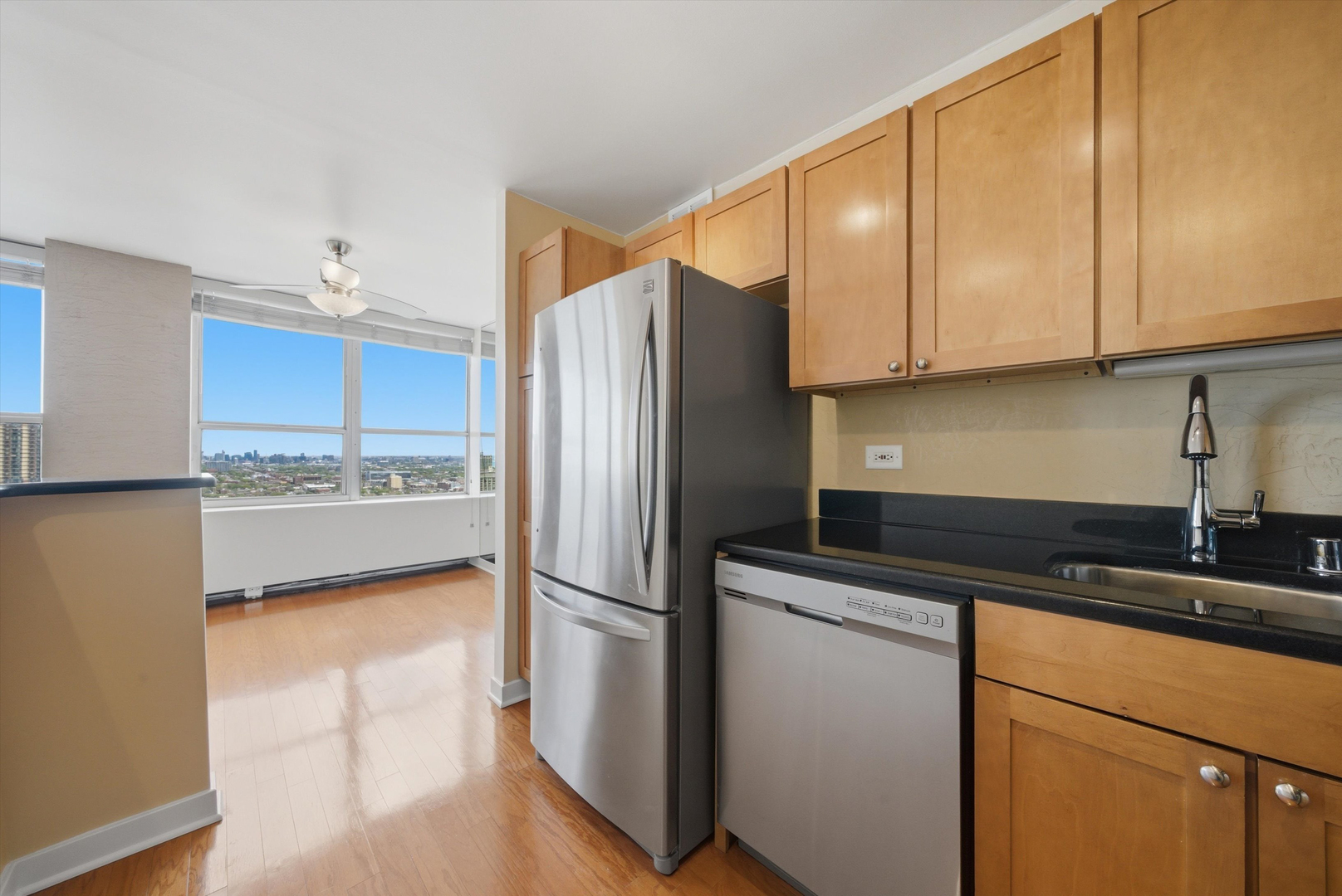 655 W Irving Park Road Unit: 4113