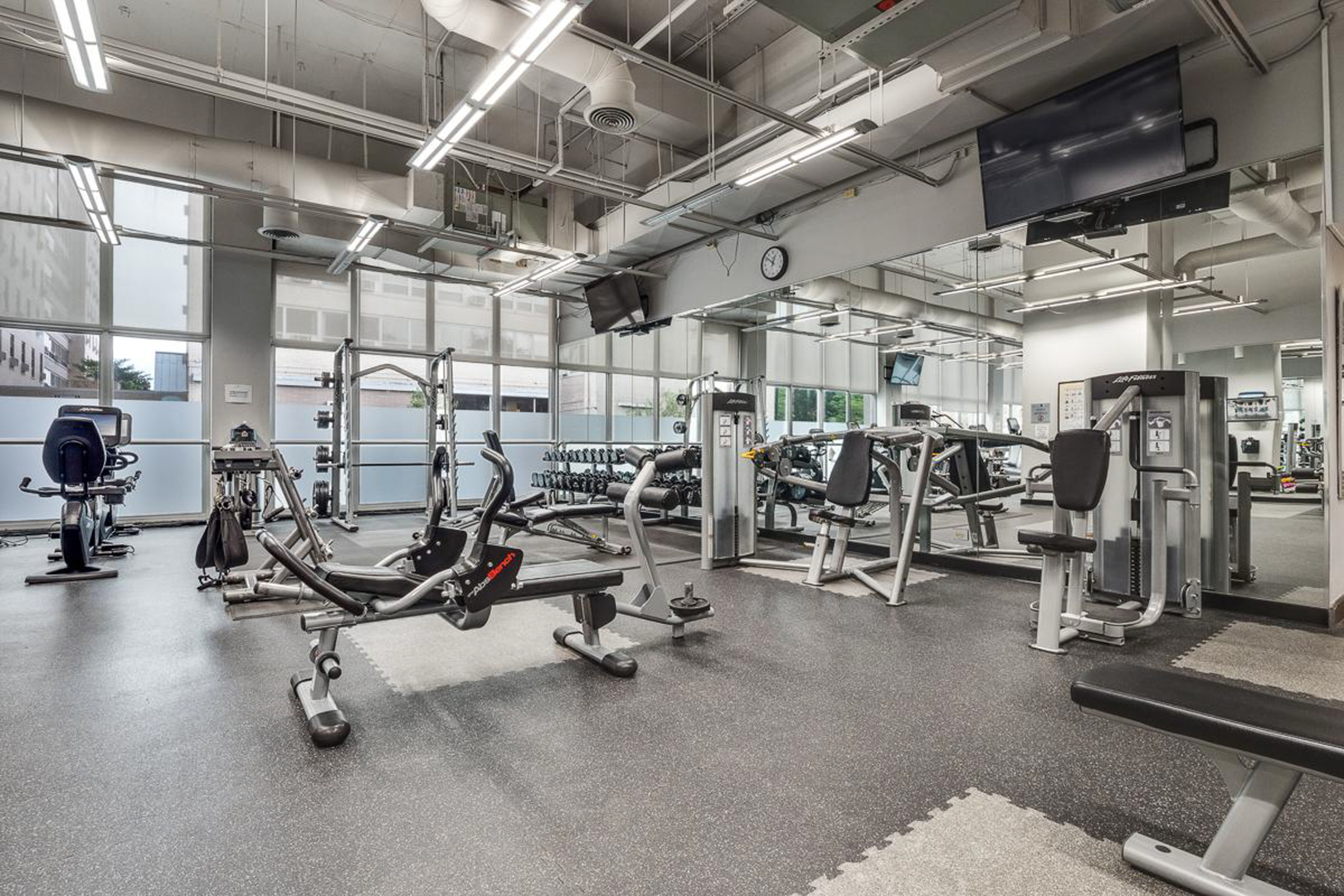655 W Irving Park Road Unit: 4113