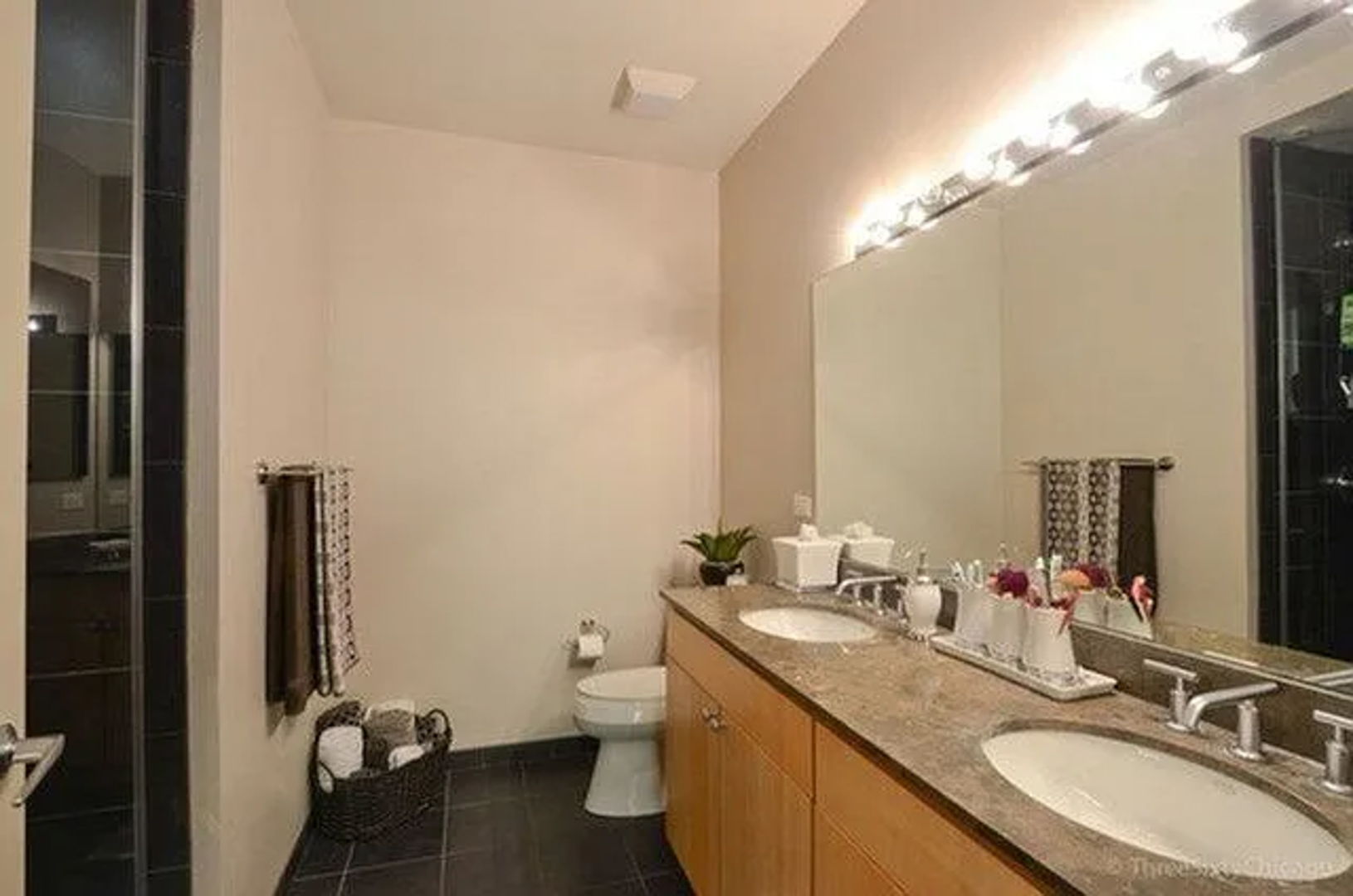 700 N Larrabee Street Unit: 2013