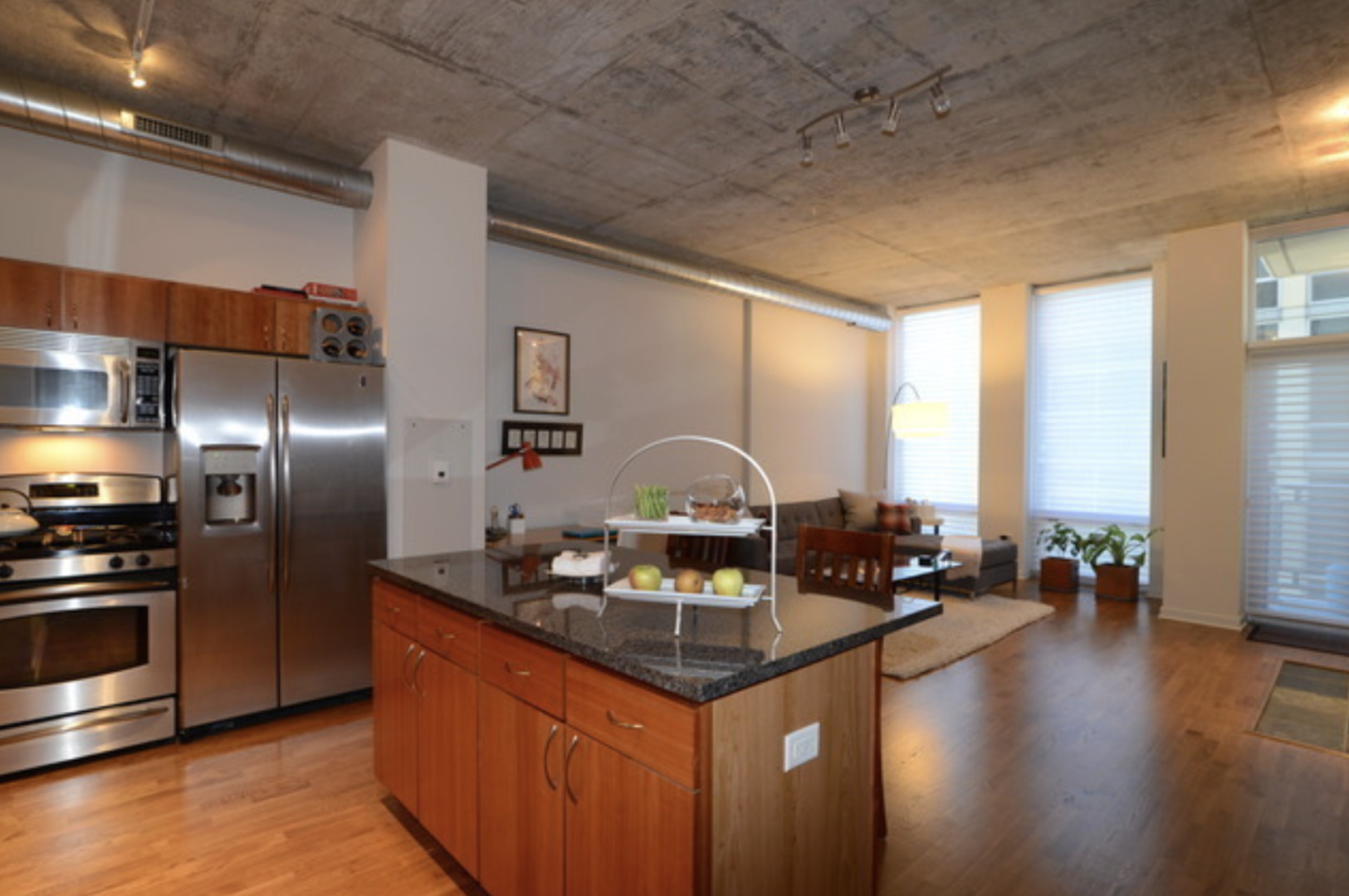 700 N Larrabee Street Unit: 1203