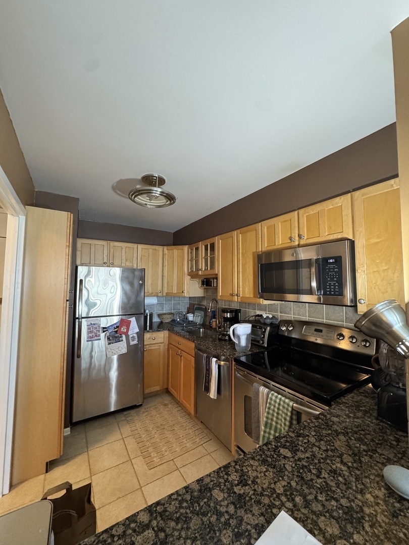 1560 N Sandburg Terrace Unit: 1505