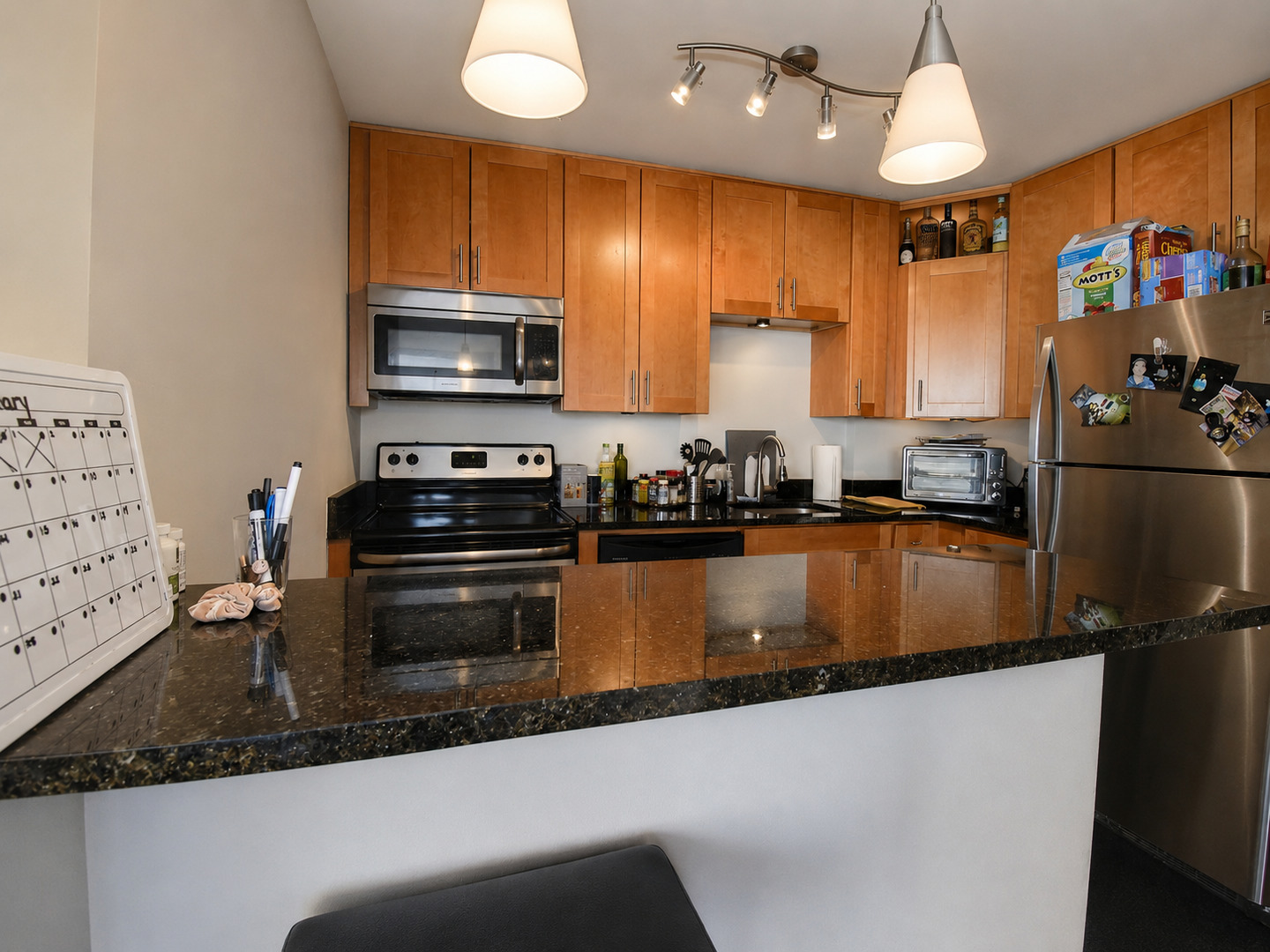 1455 N Sandburg Terrace Unit: 509