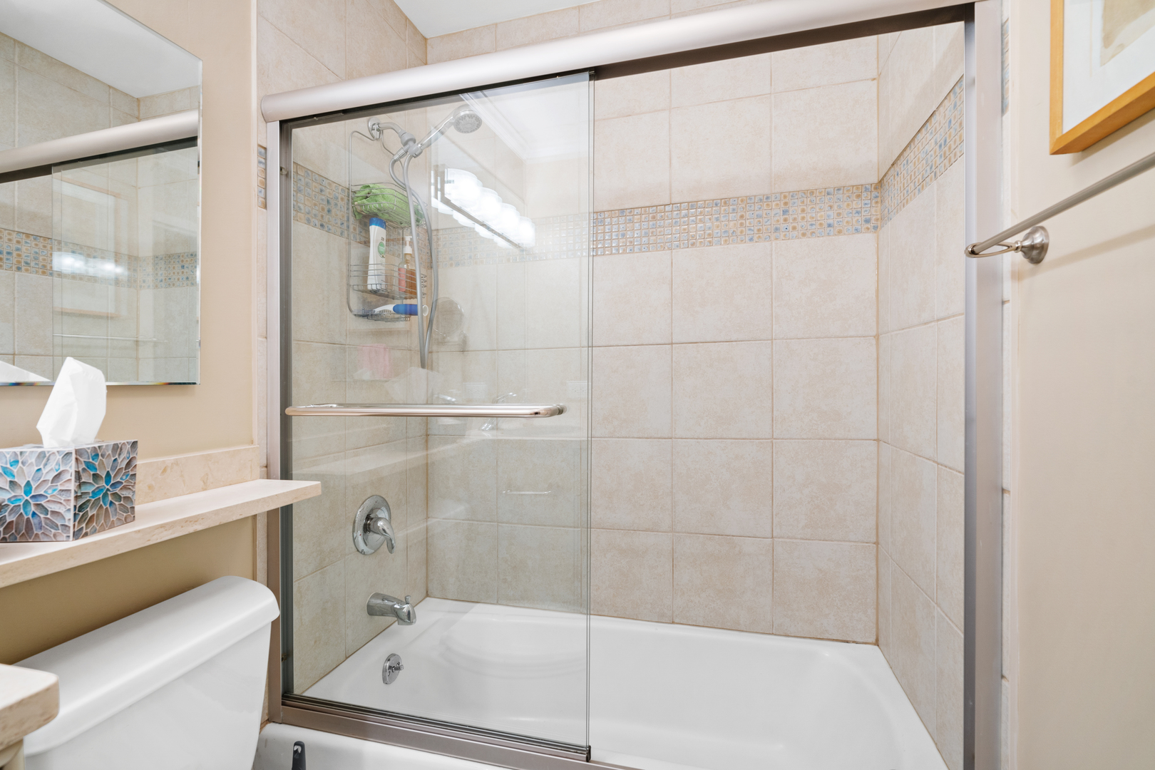1555 N Sandburg Terrace Unit: 517