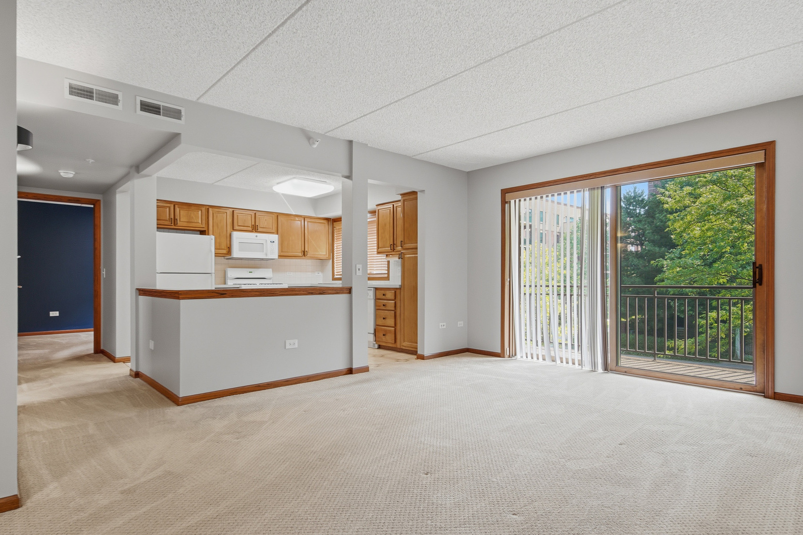 10 S Wille Street Unit: 209