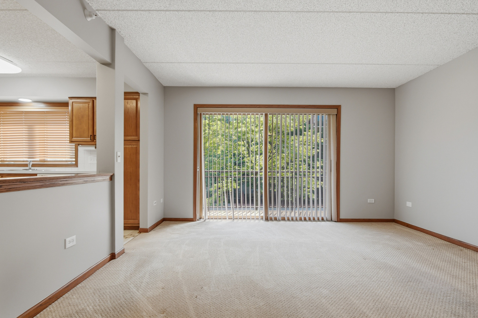 10 S Wille Street Unit: 209