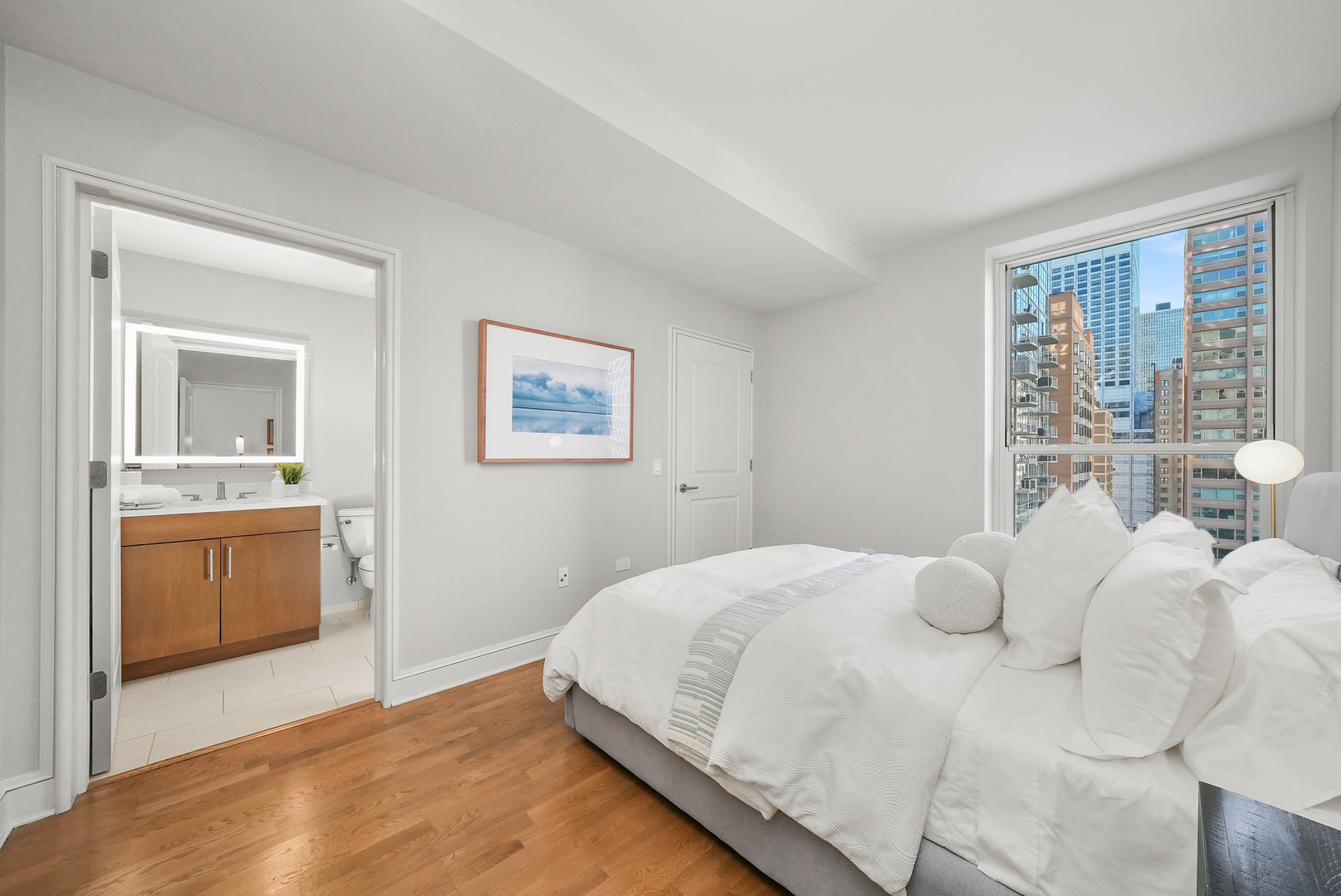 850 N Lake Shore Drive Unit: 1110