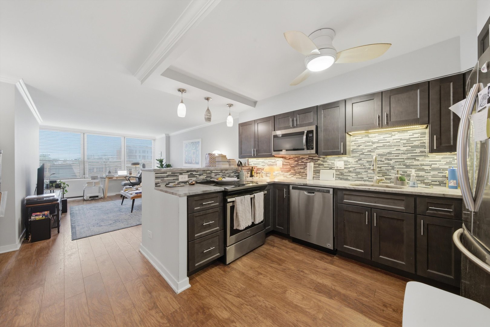 1560 N Sandburg Terrace Unit: 509J