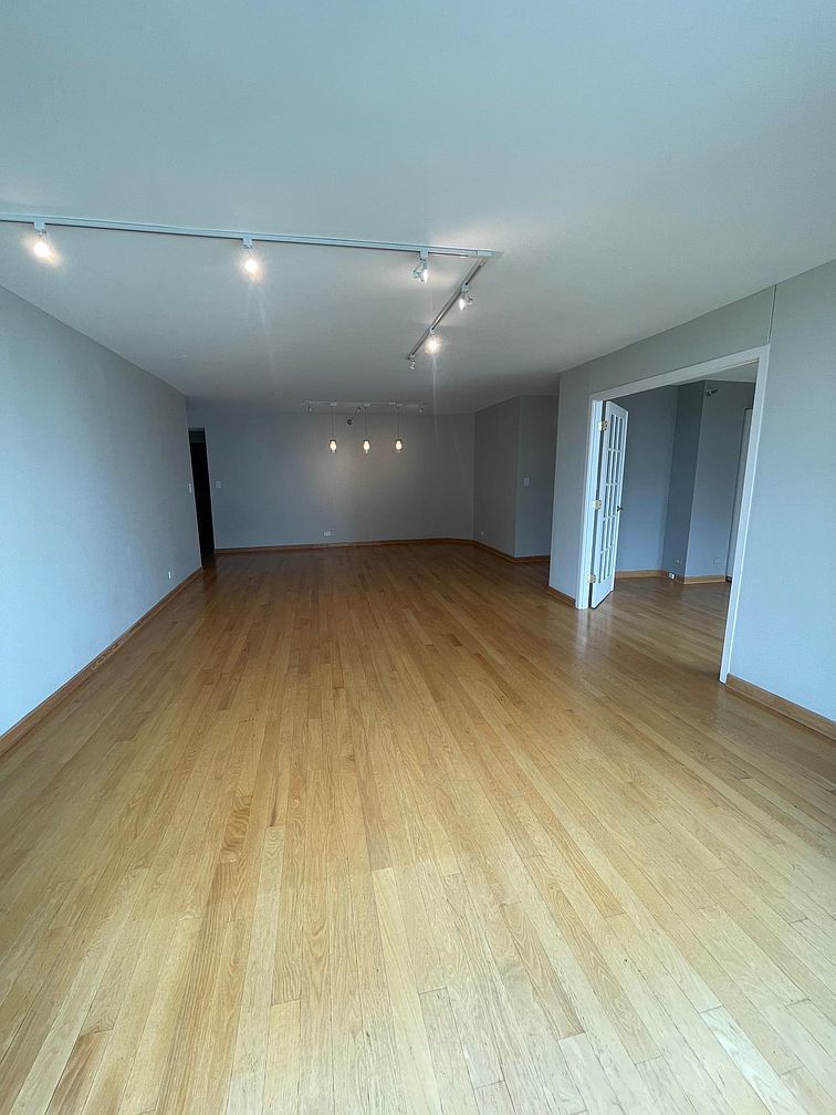 195 N Harbor Drive Unit: 5105