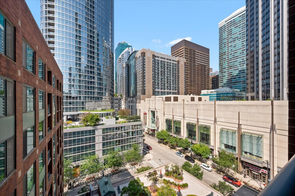 480 N MCCLURG Court Unit: 1109