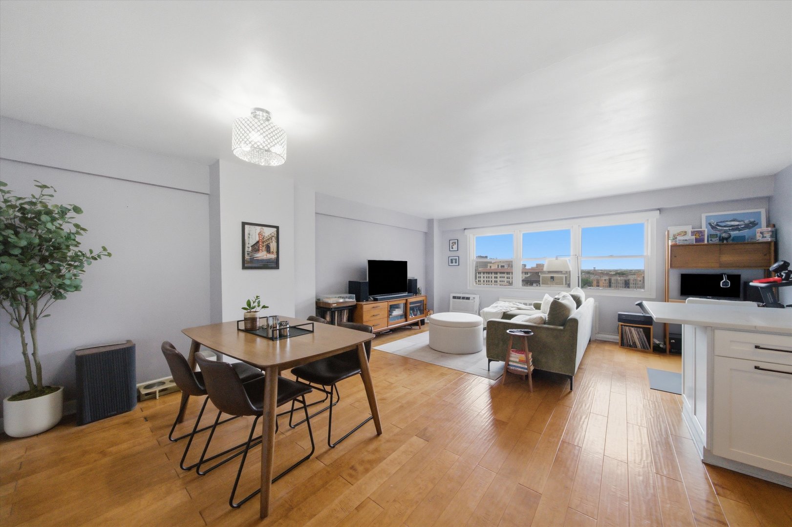 2909 N Sheridan Road Unit: 1204