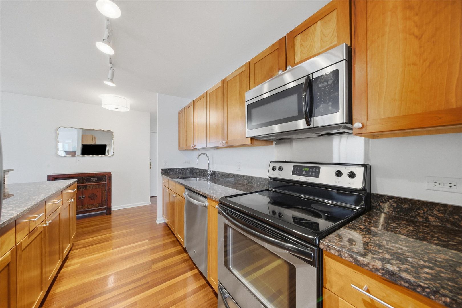 222 E Pearson Street Unit: 1901