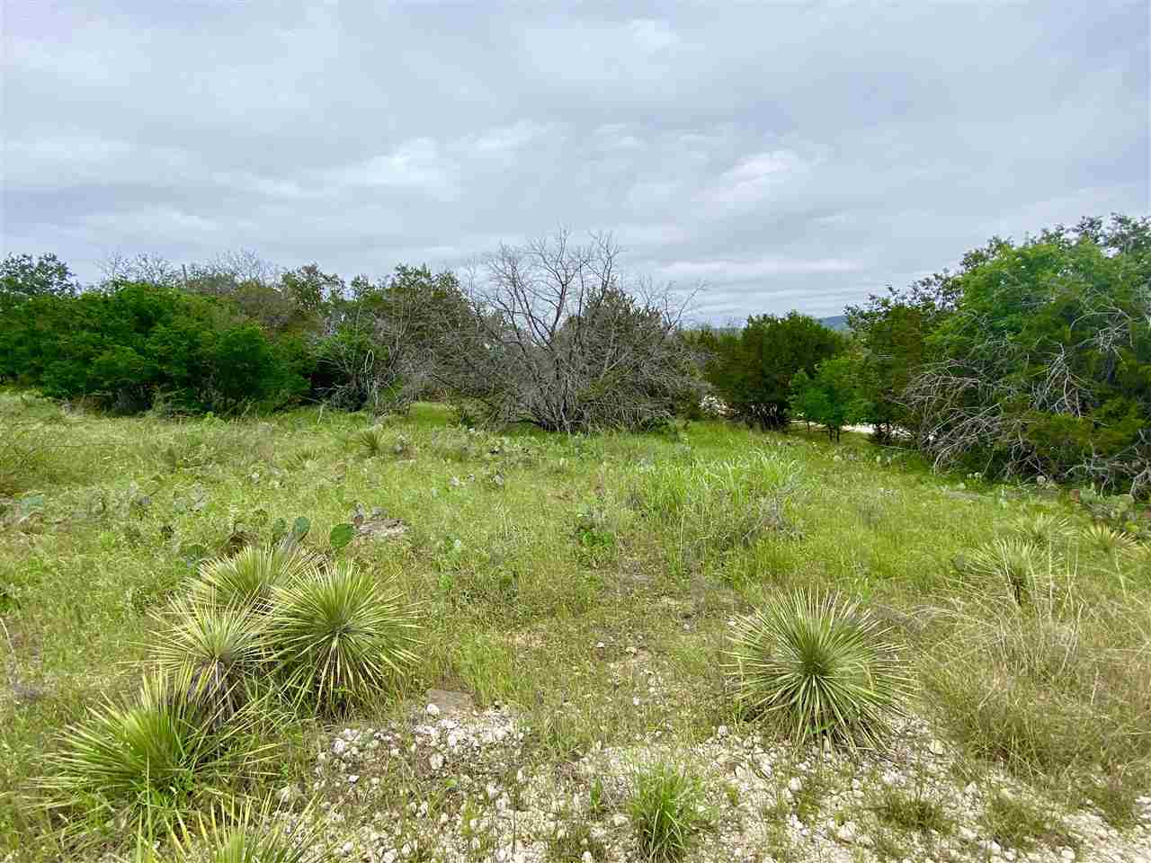 Lot 737 Spring Street