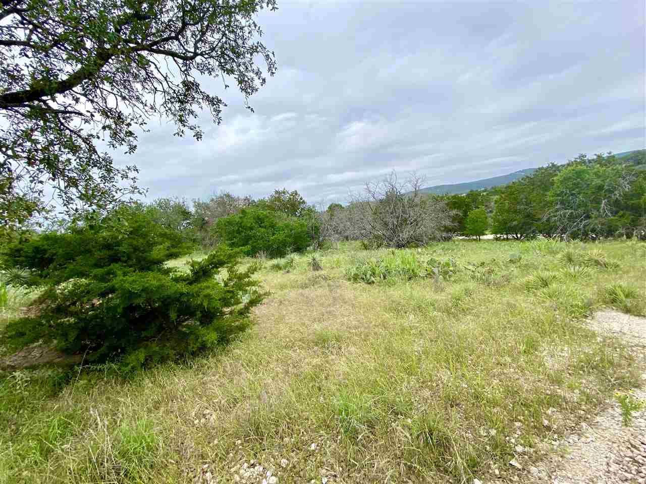 Lot 737 Spring Street