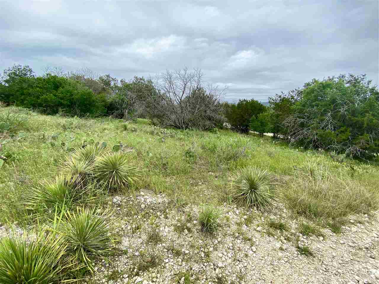 Lot 737 Spring Street