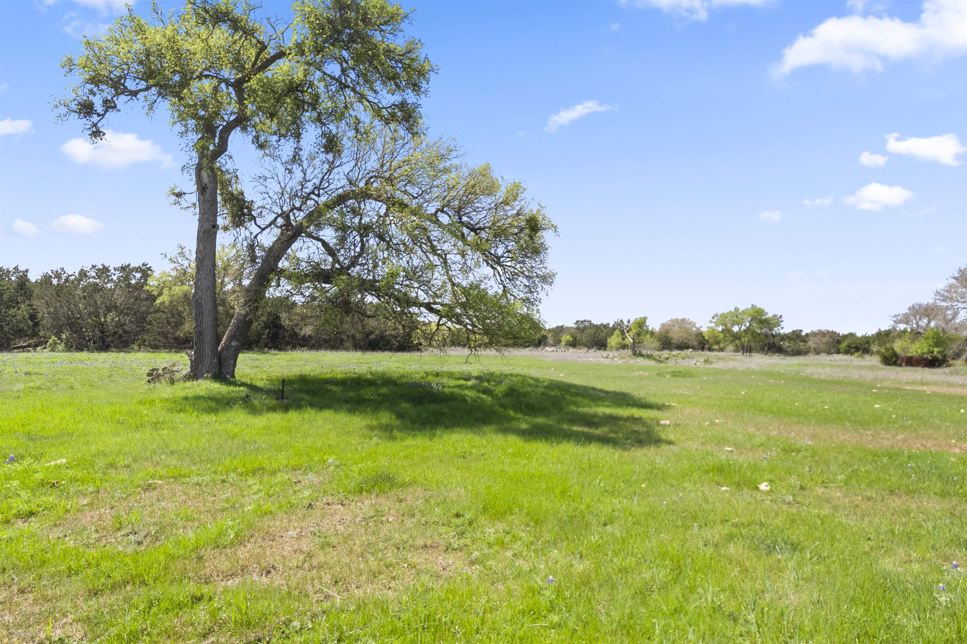 4319 N US-281 Highway