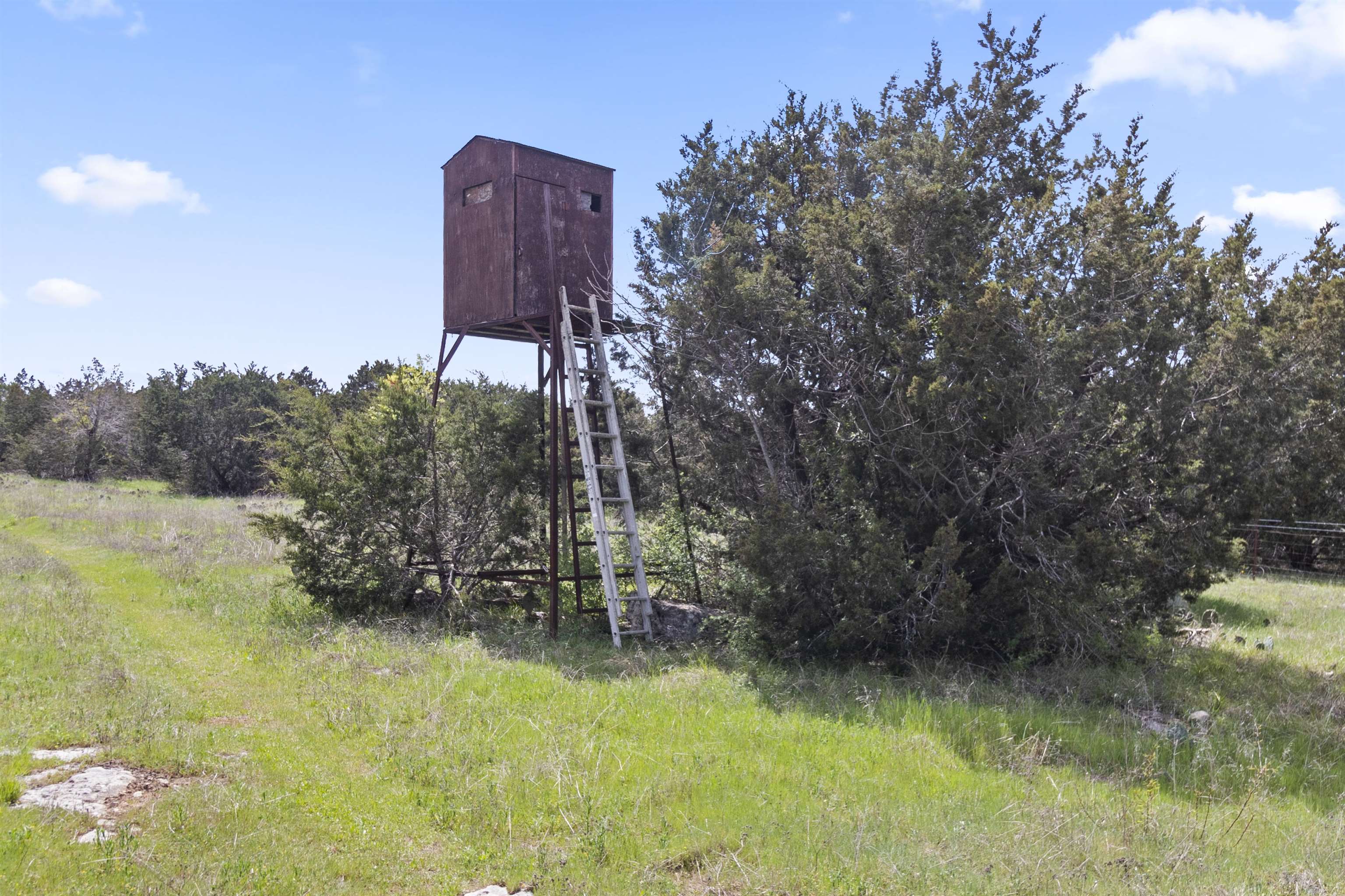 4319 N US-281 Highway