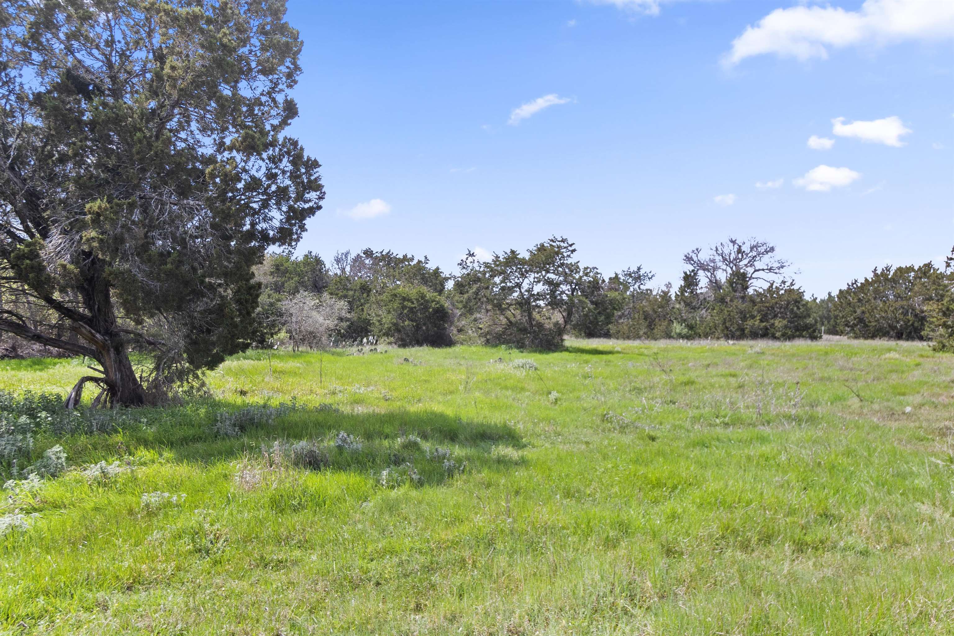 4319 N US-281 Highway