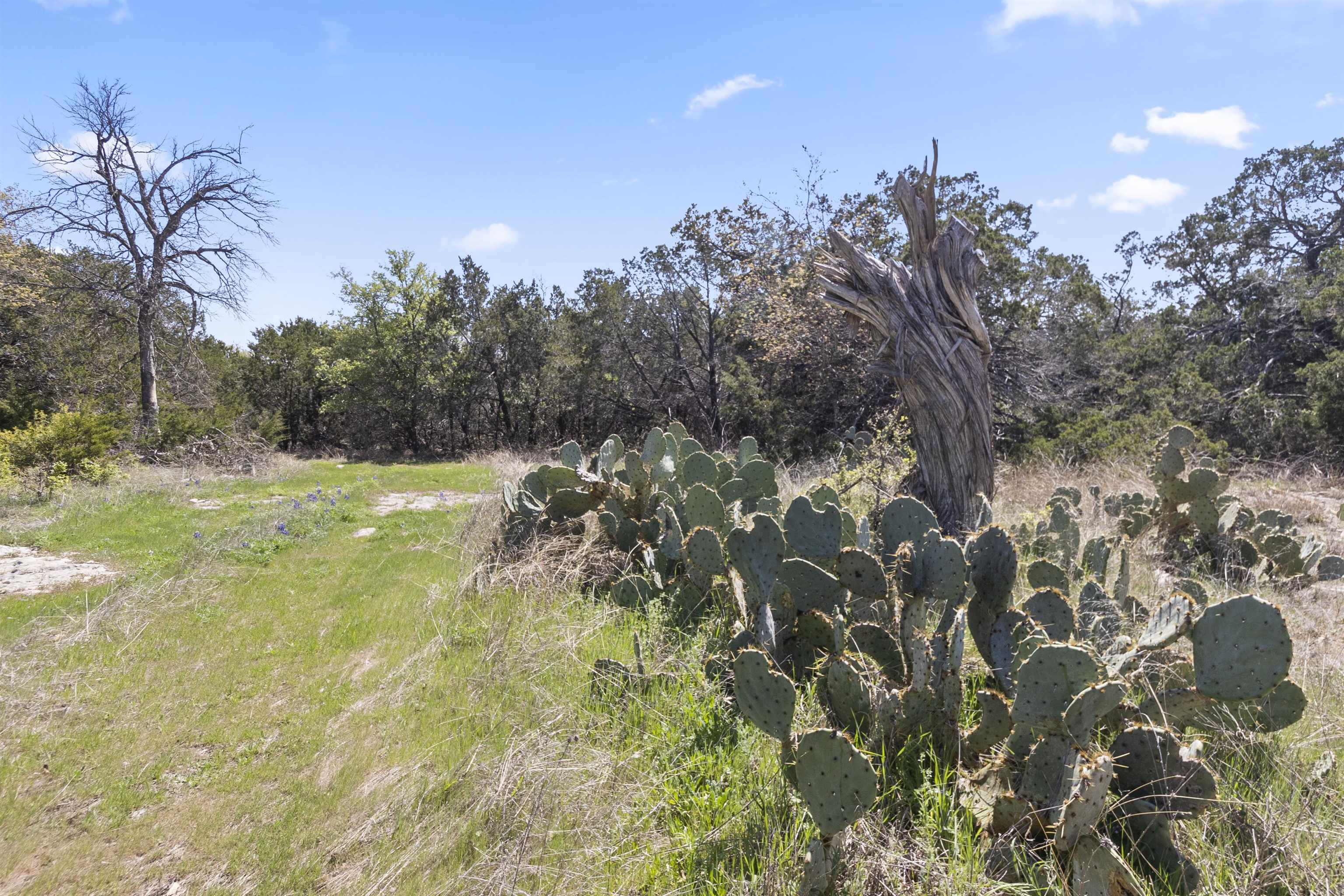 4319 N US-281 Highway