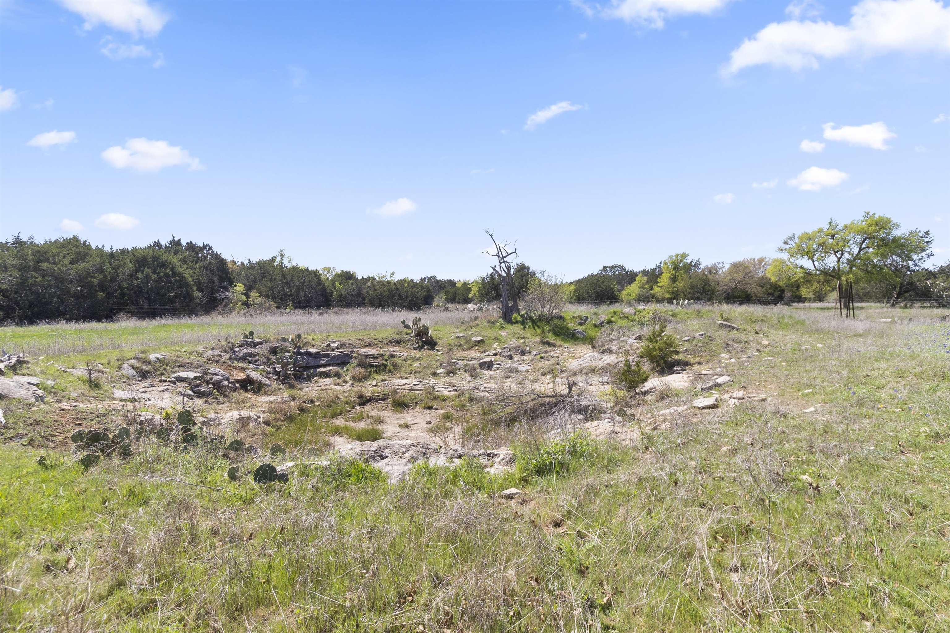 4319 N US-281 Highway