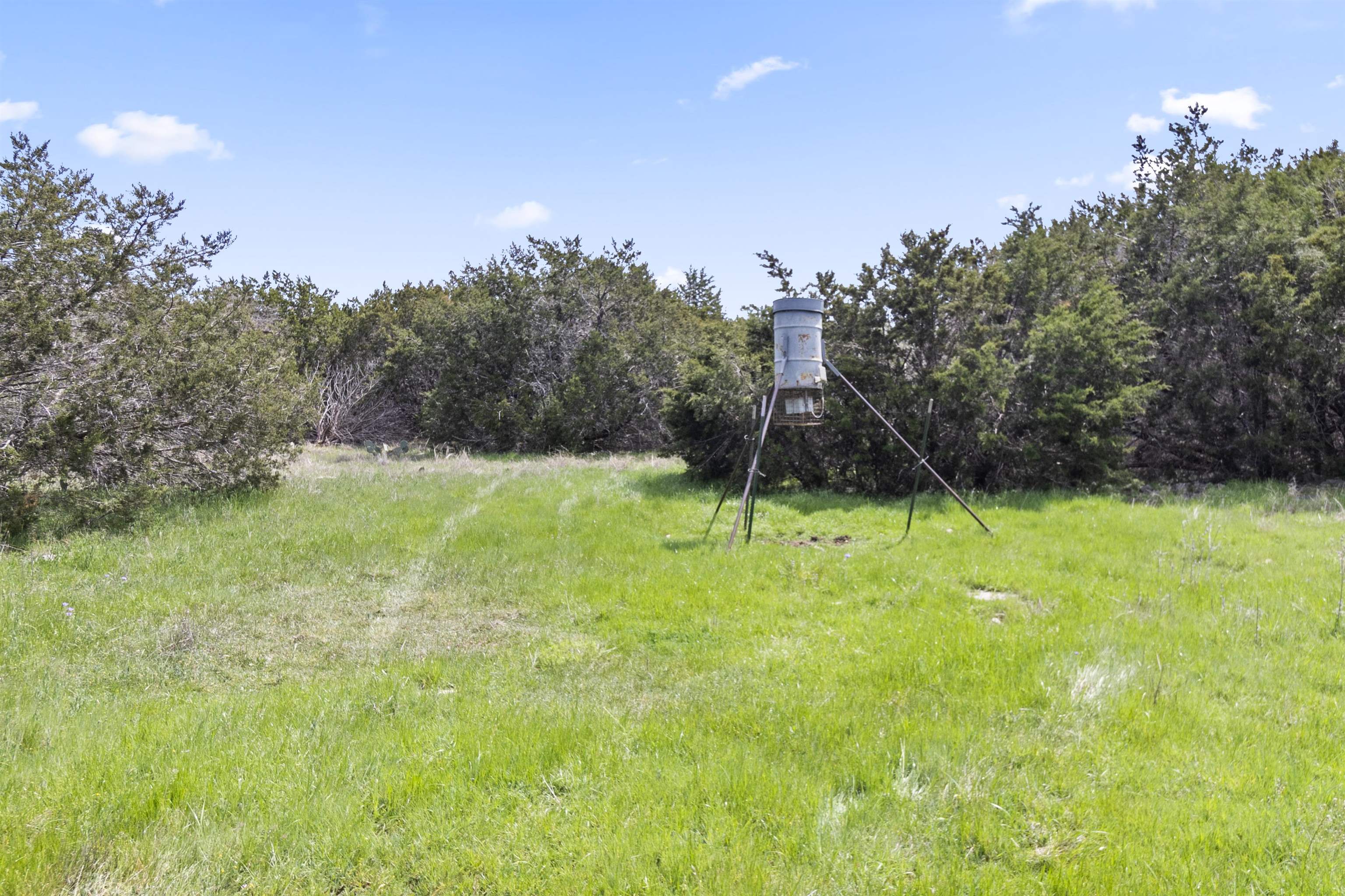 4319 N US-281 Highway