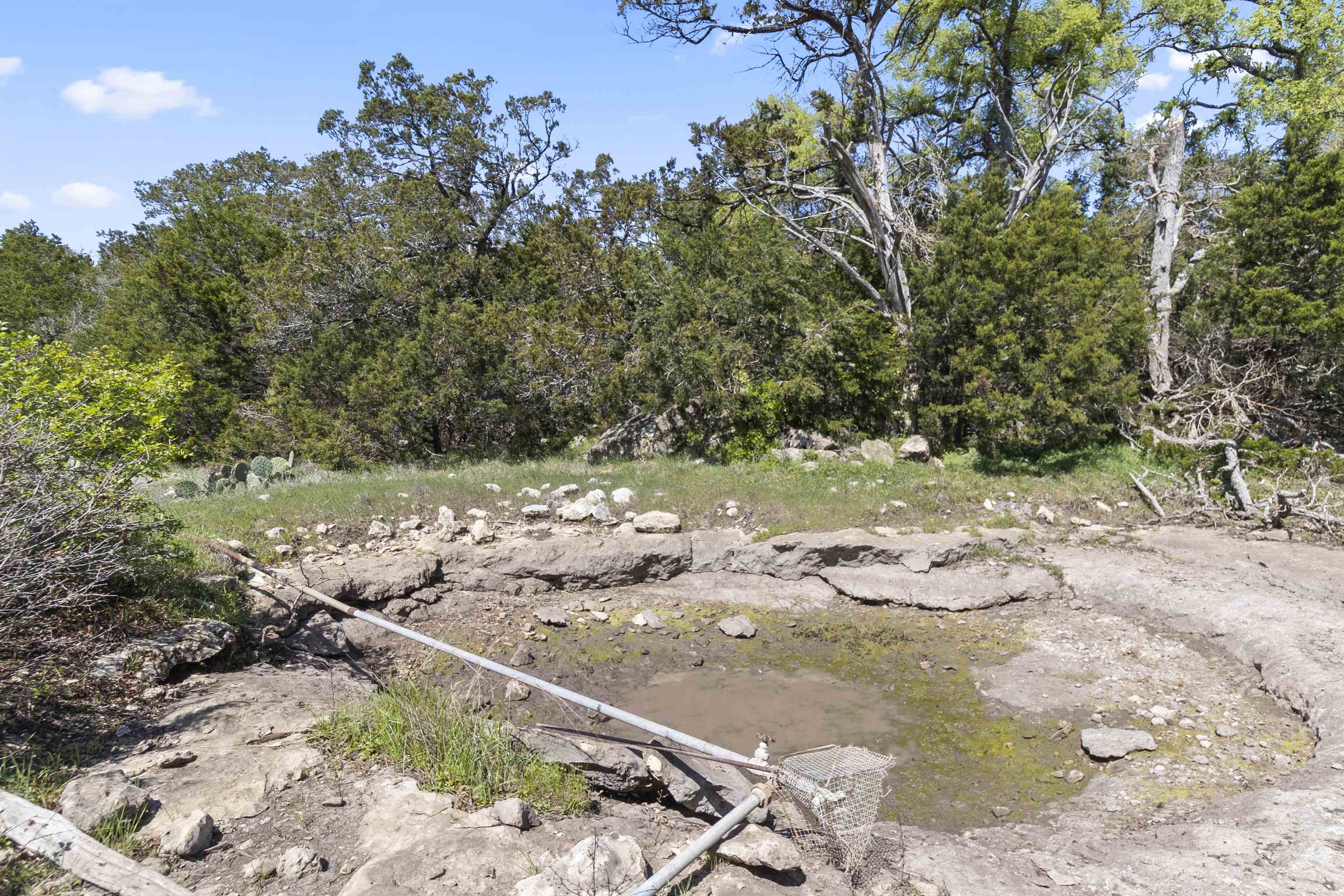 4319 N US-281 Highway