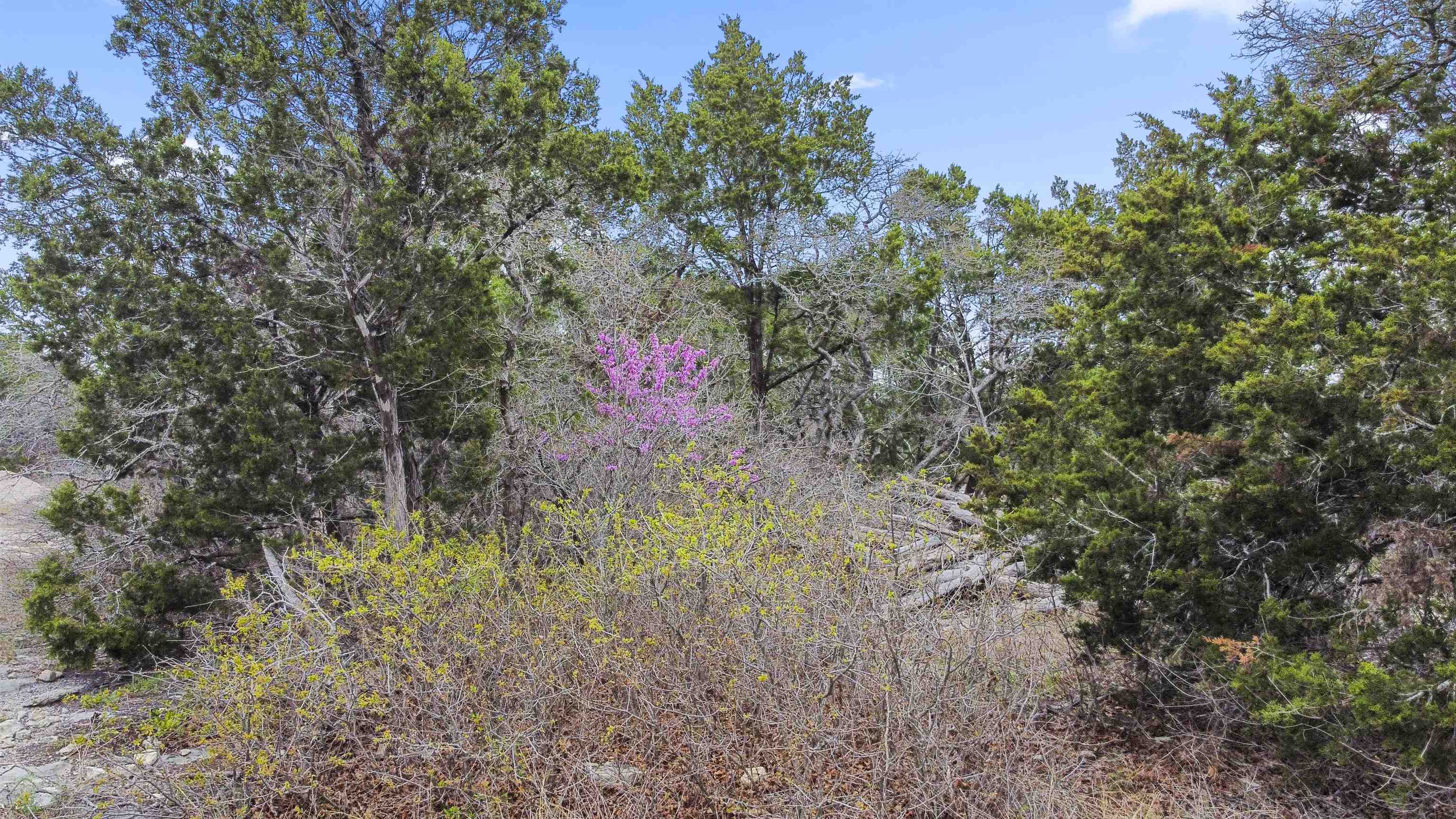 4319 N US-281 Highway